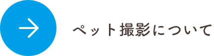 ペット撮影について